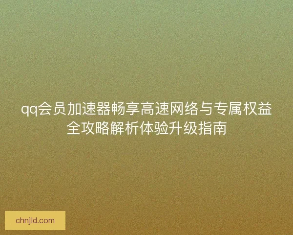 qq会员加速器畅享高速网络与专属权益全攻略解析体验升级指南