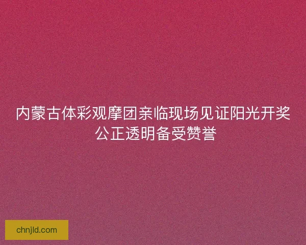 内蒙古体彩观摩团亲临现场见证阳光开奖 公正透明备受赞誉